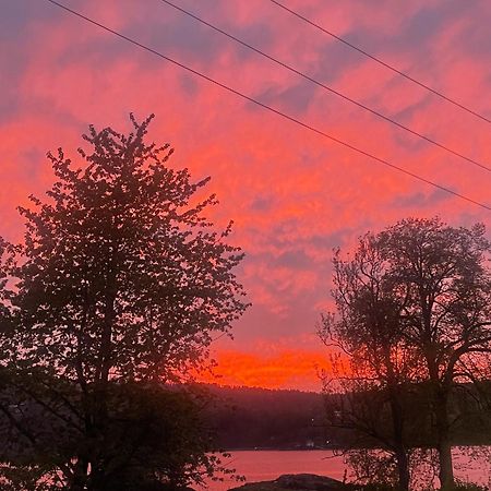 Hyttelaven Pa Furuholmen Sarpsborg Εξωτερικό φωτογραφία