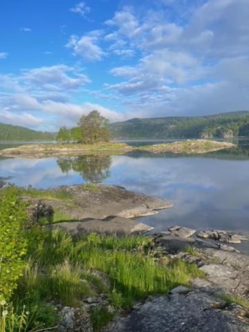 Hyttelaven Pa Furuholmen Sarpsborg Εξωτερικό φωτογραφία